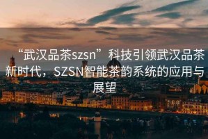 “武漢品茶szsn”科技引領(lǐng)武漢品茶新時(shí)代，SZSN智能茶韻系統的應用與展望