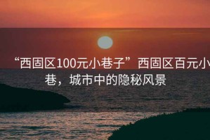“西固區100元小巷子”西固區百元小巷，城市中的隱秘風(fēng)景