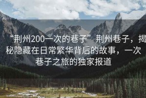 “荊州200一次的巷子”荊州巷子，揭秘隱藏在日常繁華背后的故事，一次巷子之旅的獨家報道