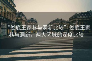 “婁底王家巷與洞新比較”婁底王家巷與洞新，兩大區域的深度比較