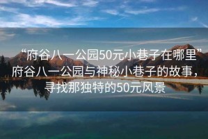 “府谷八一公園50元小巷子在哪里”府谷八一公園與神秘小巷子的故事，尋找那獨特的50元風(fēng)景