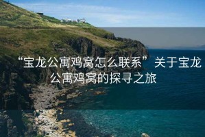 “寶龍公寓雞窩怎么聯(lián)系”關(guān)于寶龍公寓雞窩的探尋之旅