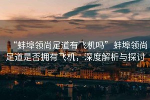 “蚌埠領(lǐng)尚足道有飛機嗎”蚌埠領(lǐng)尚足道是否擁有飛機，深度解析與探討