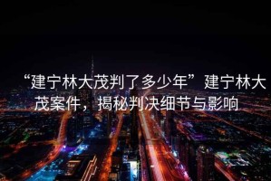 “建寧林大茂判了多少年”建寧林大茂案件，揭秘判決細節與影響