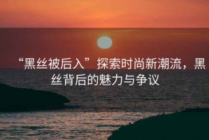 “黑絲被后入”探索時(shí)尚新潮流，黑絲背后的魅力與爭議