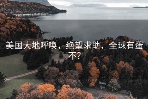 美國大地呼喚，絕望求助，全球有蛋不？