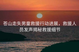 蒼山走失男童救援行動(dòng)進(jìn)展，救援人員發(fā)聲揭秘救援細節