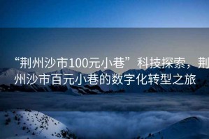 “荊州沙市100元小巷”科技探索，荊州沙市百元小巷的數字化轉型之旅