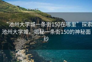 “池州大學(xué)城一條街150在哪里”探索池州大學(xué)城，揭秘一條街150的神秘面紗