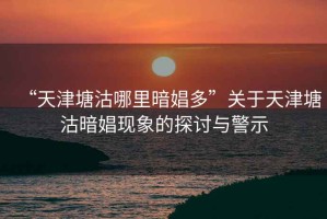 “天津塘沽哪里暗娼多”關(guān)于天津塘沽暗娼現象的探討與警示