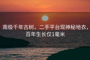 南極千年古樹(shù)，二手平臺現神秘地衣，百年生長(cháng)僅1毫米