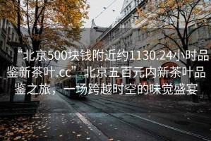 “北京500塊錢(qián)附近約1130.24小時(shí)品鑒新茶葉.cc”北京五百元內新茶葉品鑒之旅，一場(chǎng)跨越時(shí)空的味覺(jué)盛宴
