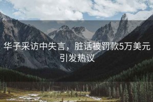 華子采訪(fǎng)中失言，臟話(huà)被罰款5萬(wàn)美元引發(fā)熱議