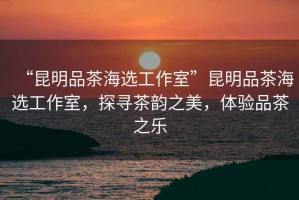 “昆明品茶海選工作室”昆明品茶海選工作室，探尋茶韻之美，體驗品茶之樂(lè )