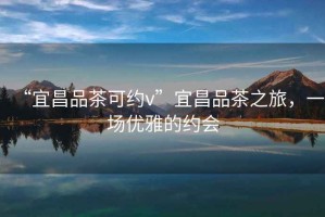 “宜昌品茶可約v”宜昌品茶之旅，一場(chǎng)優(yōu)雅的約會(huì )