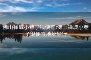 佛山禪城小巷子很便宜:佛山禪城小巷子很便宜地址導行