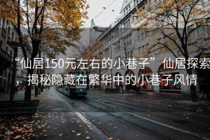 “仙居150元左右的小巷子”仙居探索，揭秘隱藏在繁華中的小巷子風(fēng)情