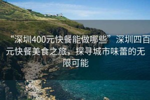 “深圳400元快餐能做哪些”深圳四百元快餐美食之旅，探尋城市味蕾的無(wú)限可能