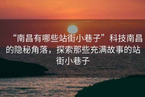 “南昌有哪些站街小巷子”科技南昌的隱秘角落，探索那些充滿(mǎn)故事的站街小巷子