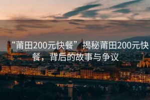 “莆田200元快餐”揭秘莆田200元快餐，背后的故事與爭議