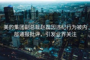 美的集團副總裁趙磊因違紀行為被內部通報批評，引發(fā)業(yè)界關(guān)注
