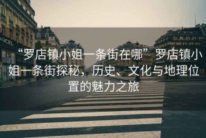 “羅店鎮小姐一條街在哪”羅店鎮小姐一條街探秘，歷史、文化與地理位置的魅力之旅