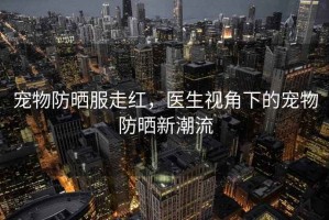 寵物防曬服走紅，醫生視角下的寵物防曬新潮流
