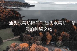 “汕頭水善坊暗號”汕頭水善坊，暗號的神秘之旅