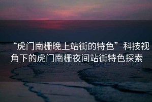 “虎門(mén)南柵晚上站街的特色”科技視角下的虎門(mén)南柵夜間站街特色探索