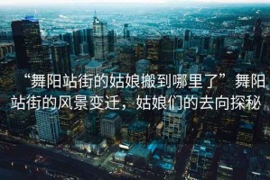 “舞陽(yáng)站街的姑娘搬到哪里了”舞陽(yáng)站街的風(fēng)景變遷，姑娘們的去向探秘