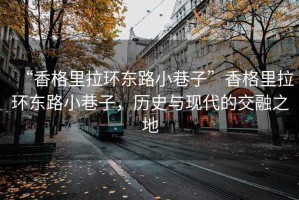 “香格里拉環(huán)東路小巷子”香格里拉環(huán)東路小巷子，歷史與現代的交融之地
