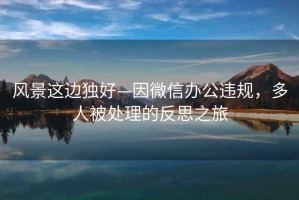 風(fēng)景這邊獨好—因微信辦公違規，多人被處理的反思之旅