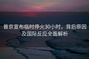 普京宣布臨時(shí)?；?0小時(shí)，背后原因及國際反應全面解析