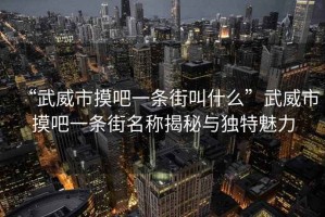 “武威市摸吧一條街叫什么”武威市摸吧一條街名稱(chēng)揭秘與獨特魅力