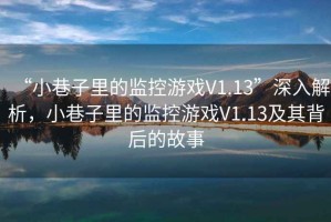 “小巷子里的監控游戲V1.13”深入解析，小巷子里的監控游戲V1.13及其背后的故事