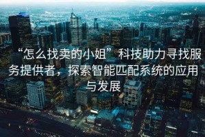 “怎么找賣(mài)的小姐”科技助力尋找服務(wù)提供者，探索智能匹配系統的應用與發(fā)展