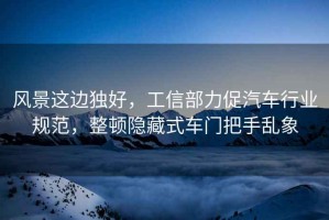 風(fēng)景這邊獨好，工信部力促汽車(chē)行業(yè)規范，整頓隱藏式車(chē)門(mén)把手亂象