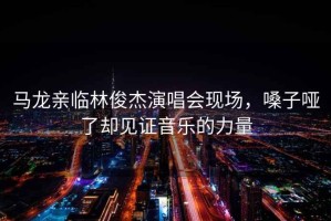 馬龍親臨林俊杰演唱會(huì )現場(chǎng)，嗓子啞了卻見(jiàn)證音樂(lè )的力量