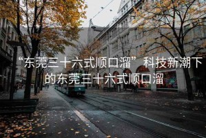 “東莞三十六式順口溜”科技新潮下的東莞三十六式順口溜