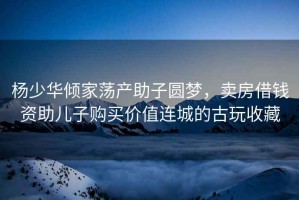 楊少華傾家蕩產(chǎn)助子圓夢(mèng)，賣(mài)房借錢(qián)資助兒子購買(mǎi)價(jià)值連城的古玩收藏