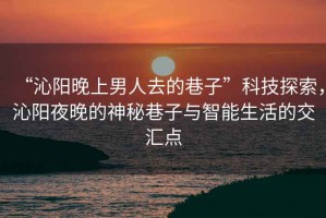 “沁陽(yáng)晚上男人去的巷子”科技探索，沁陽(yáng)夜晚的神秘巷子與智能生活的交匯點(diǎn)