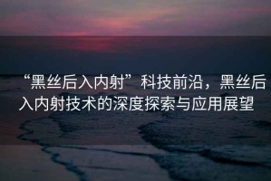 “黑絲后入內射”科技前沿，黑絲后入內射技術(shù)的深度探索與應用展望
