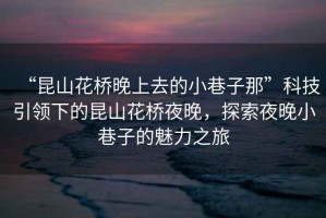 “昆山花橋晚上去的小巷子那”科技引領(lǐng)下的昆山花橋夜晚，探索夜晚小巷子的魅力之旅