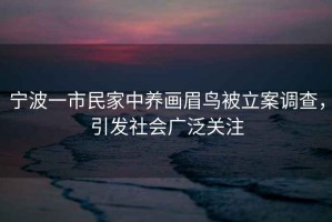 寧波一市民家中養畫(huà)眉鳥(niǎo)被立案調查，引發(fā)社會(huì )廣泛關(guān)注