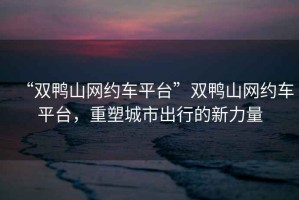 “雙鴨山網(wǎng)約車(chē)平臺”雙鴨山網(wǎng)約車(chē)平臺，重塑城市出行的新力量