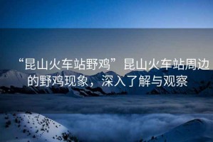 “昆山火車(chē)站野雞”昆山火車(chē)站周邊的野雞現象，深入了解與觀(guān)察