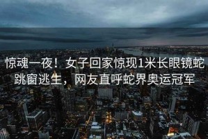 驚魂一夜！女子回家驚現1米長(cháng)眼鏡蛇跳窗逃生，網(wǎng)友直呼蛇界奧運冠軍