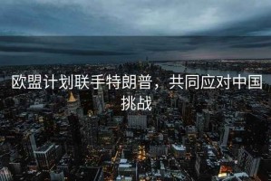 歐盟計劃聯(lián)手特朗普，共同應對中國挑戰
