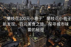 “攀枝花100元小巷子”攀枝花小巷子新發(fā)現，百元美食之旅，探尋城市味蕾的秘密