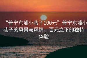 “普寧東埔小巷子100元”普寧東埔小巷子的風(fēng)景與風(fēng)情，百元之下的獨特體驗